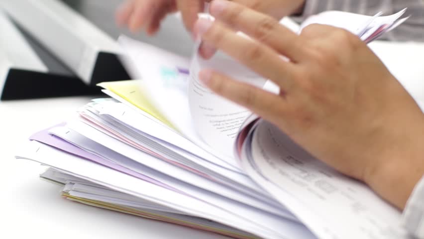 Alpha essay writing service
